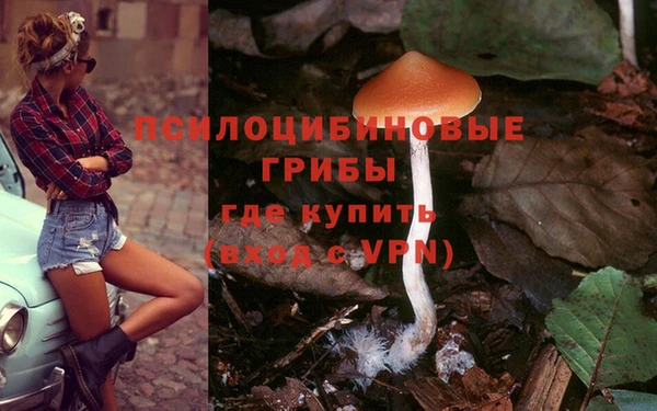 дурь Нязепетровск
