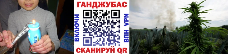 Бошки Шишки сатива Купить где Пошехонье